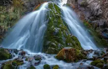 Неней шаршара