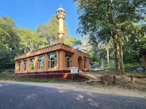 Baitun Noor Sharchhari National Park Jame Masjid