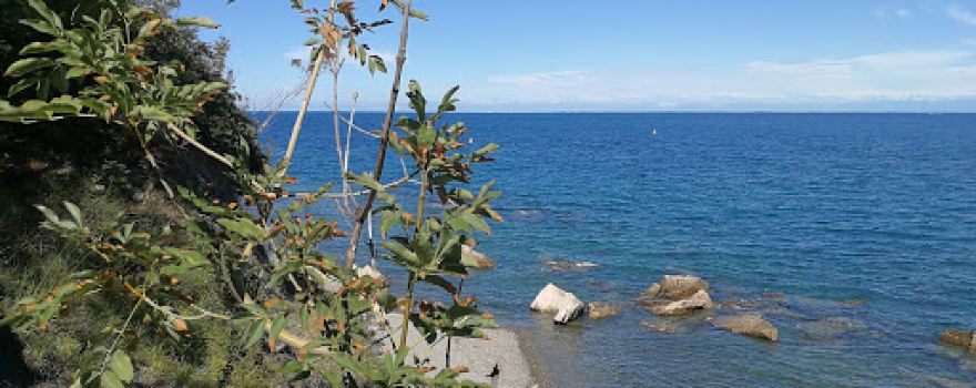 Plaža mesečev zaliv