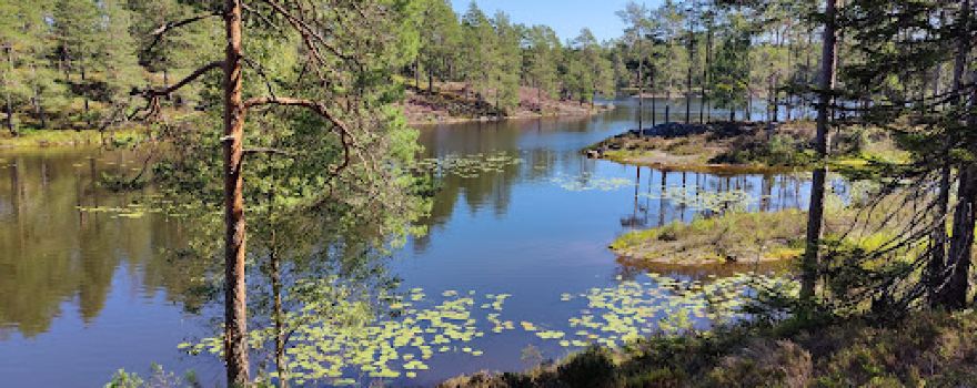 Tresticklan National Park