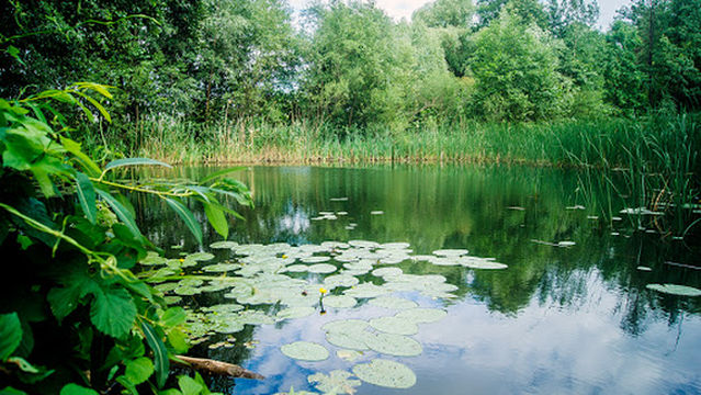 Силикатные озёра