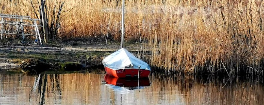 Campingplatz Badeinsel Wohnmobilplatz
