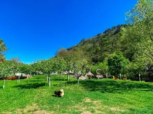 Camping River Transalpina