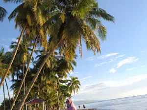 Teletabis Beach