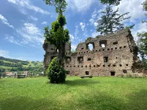 Burg Dalečín