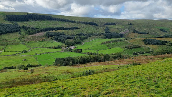 Great Shunner Fell