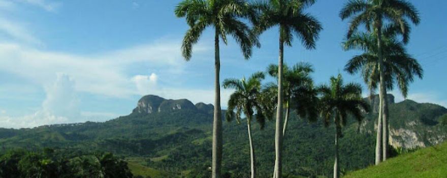 Finca La Lima