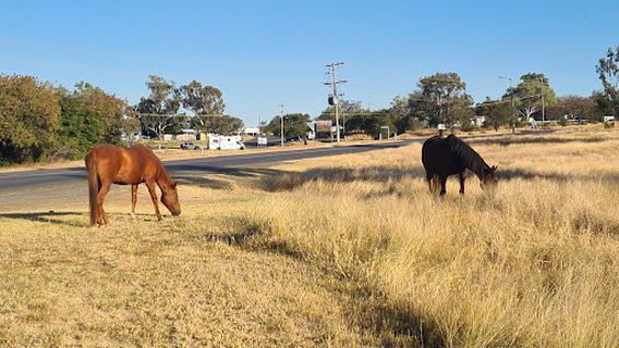 Roy Day Park