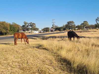 Roy Day Park