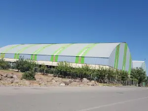 Feribot Halı Saha