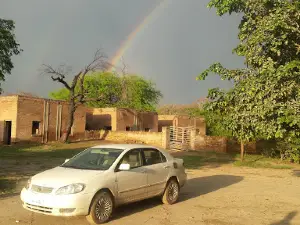 Mitha Tiwana Forest Plantation