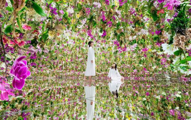 TeamLab Planets TOKYO