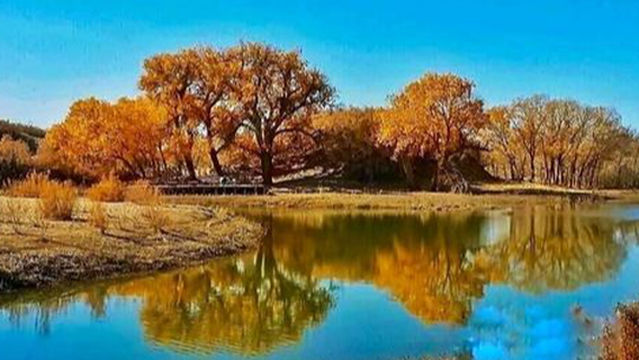 shui tong cun hu yang lin jing qu