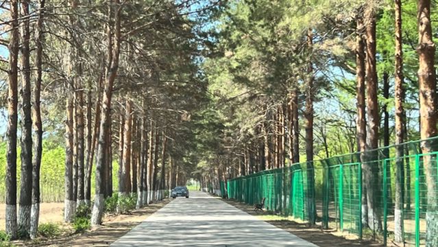 Fuyu County Forest Botanical Garden