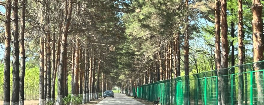 Fuyu County Forest Botanical Garden
