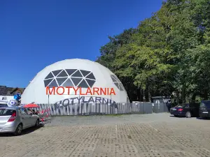 Motylarnia Rozewie - Jastrzębia Góra