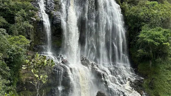 Gambita Aventura Natural