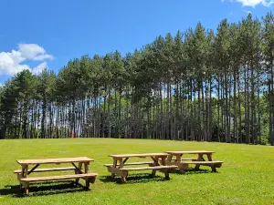 Pines Conservation Park