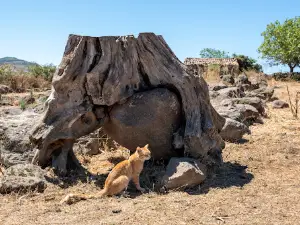Parco Archeologico Nuraghe Appiu