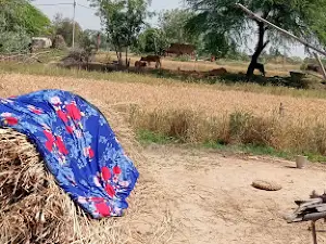 Pathara Chauraha