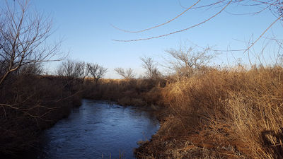 Black Kettle's Camp