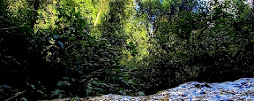 Cachoeira do Beijinho