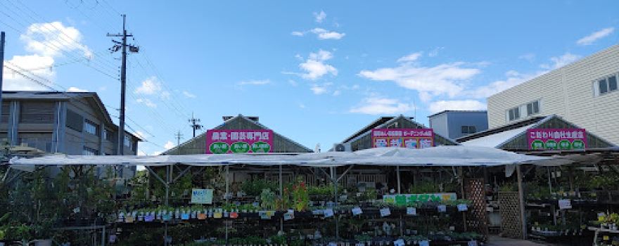 Aisai Kazoku - Seika