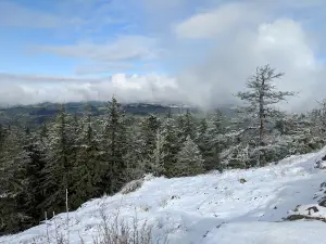 Spencer Butte Park