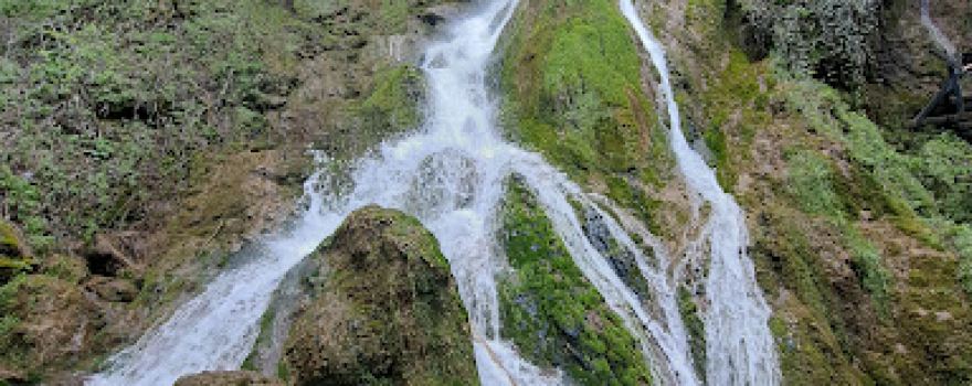 Spilje hajduka Maksima