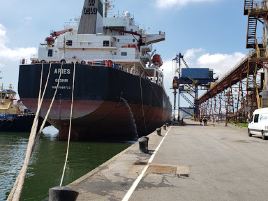 T-Grão Cargo Terminal de Granéis S/A