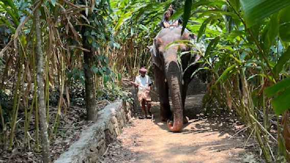 Kalpavanam Elephant Park, Thekkady - Elephant Safari and Bath