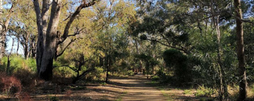 Henley Reserve