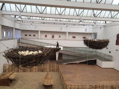 National Gallery of Zimbabwe