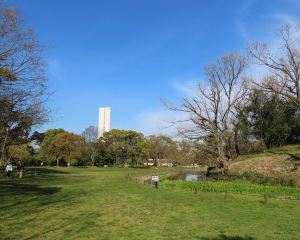 香港-堺市 機票酒店 自由行