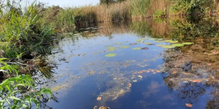 舊菲嫩國家公園