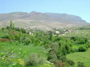 Al Qal'a of Beni Hammad