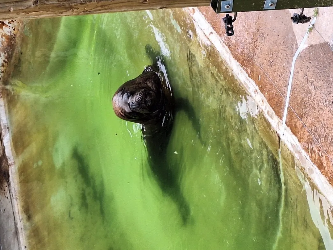 3_Dudley Zoo and Castle