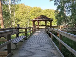 Rhododendronpark Graal-Müritz