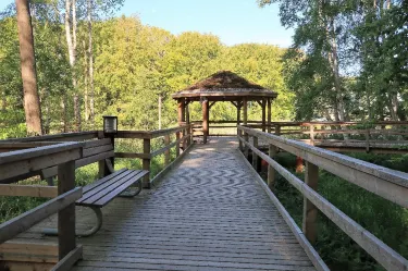 Seeheilbad Graal-Muritz