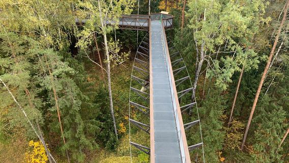 Treetop walking path and information centre