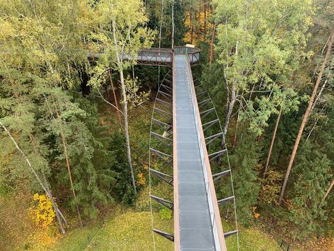 Treetop walking path and information centre
