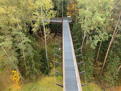 Treetop walking path and information centre