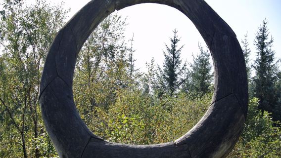 Grizedale