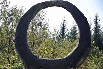 Grizedale
