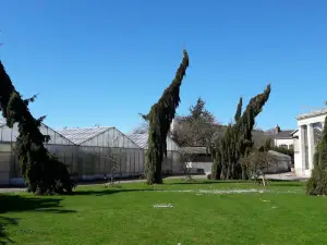 Botanical Garden