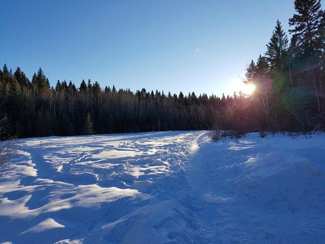Southeast Calgary