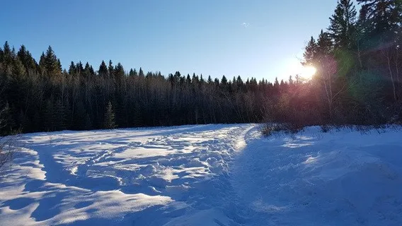 Fish Creek Provincial Park