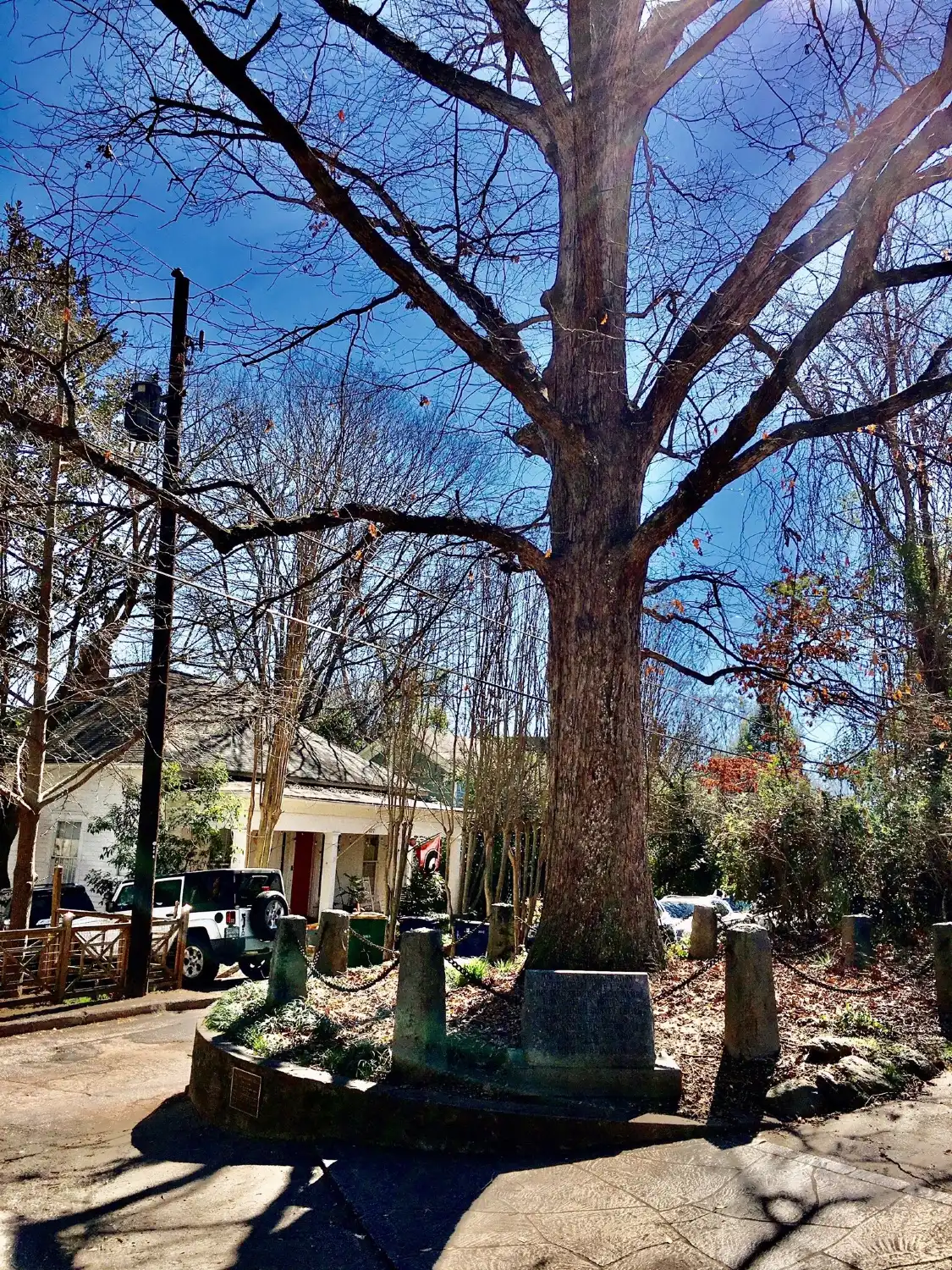 Hotels near Tree That Owns Itself