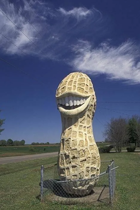 4_The Smiling Peanut (Jimmy Carter Commemoration)