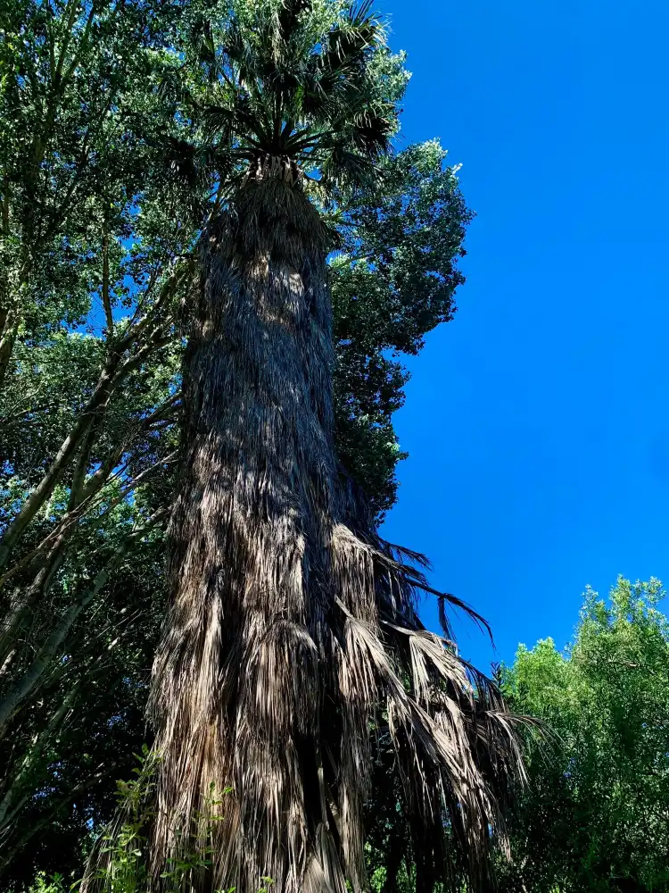Hotels in Morongo Valley